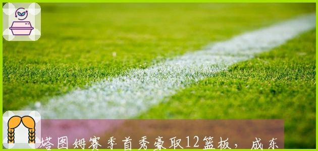 塔图姆赛季首秀豪取12篮板，成东部篮板领军者引发美媒调侃